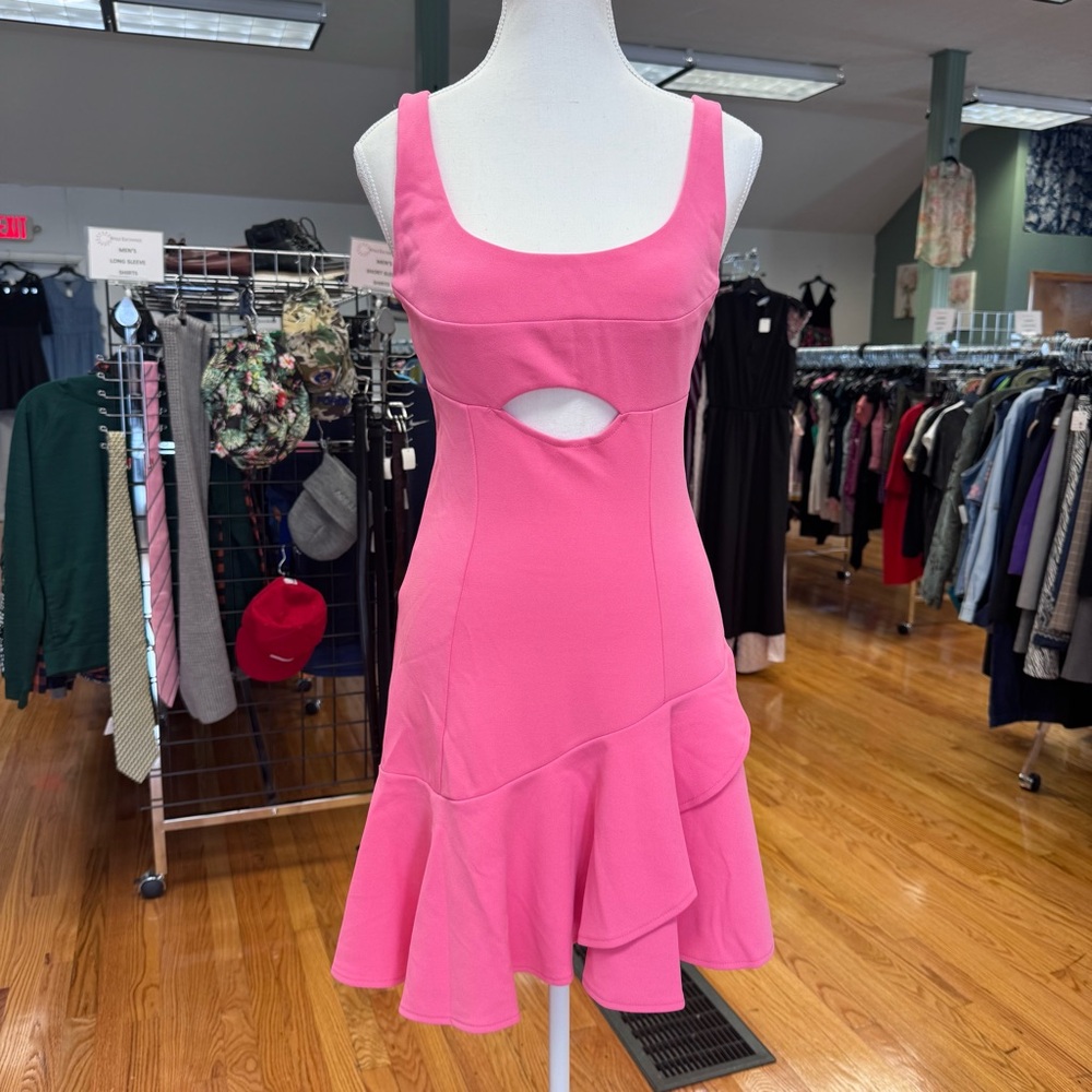 Lily Whyt Pink Cutout Fit and Flare Mini Drop Waist Ruffle Tank Dress